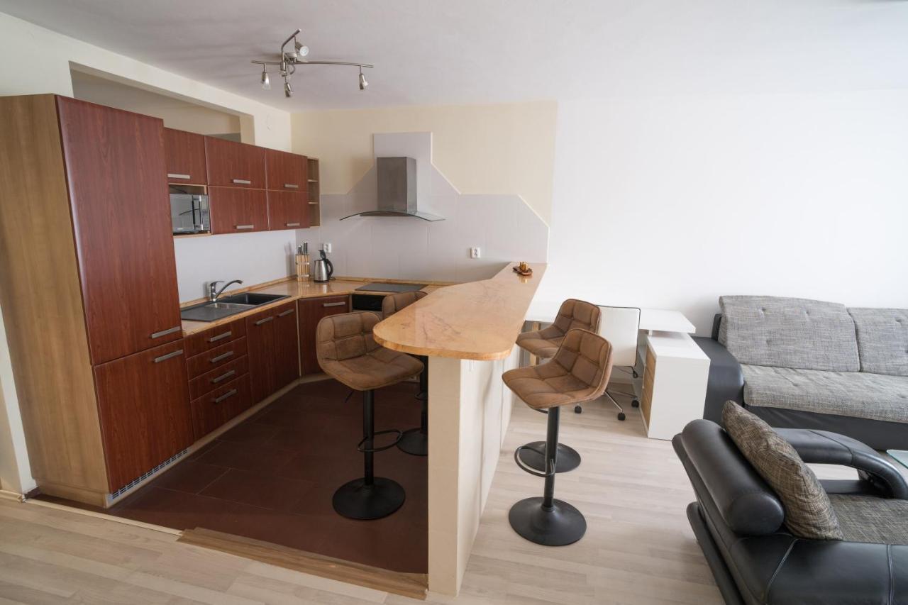 Apartment Vodni With Parking Μπρνο Εξωτερικό φωτογραφία